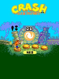 Crash bandicoot (3)