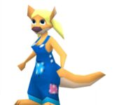 Crash Bash Steve Bamford kanga-soo2
